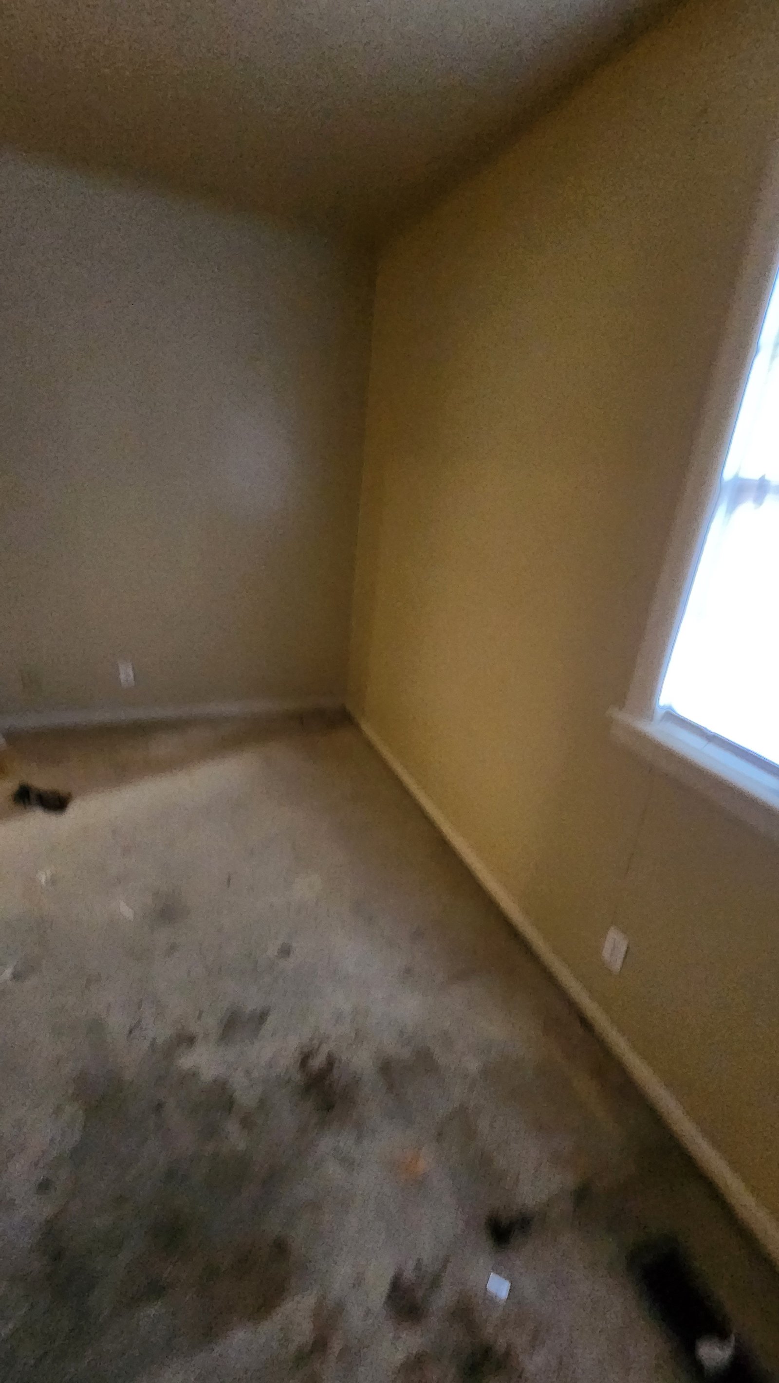 Flooring installation project gallery - Project 133 - Image 11